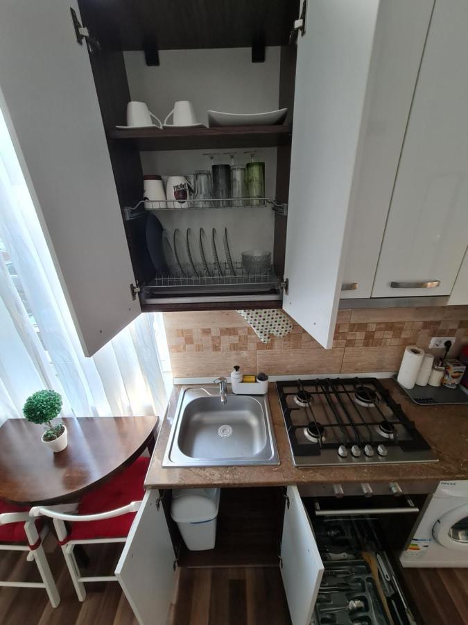 Downtown Central University Apartament - Cal1 ブカレスト エクステリア 写真